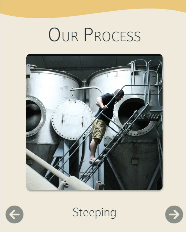 screen capture of solstice malt process carousel